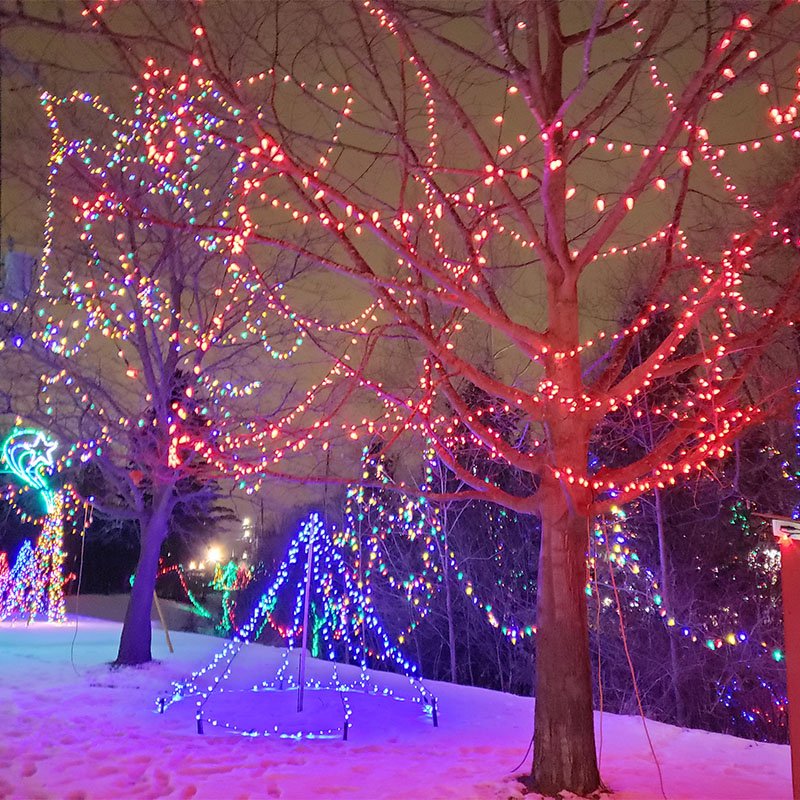 Christmas lights